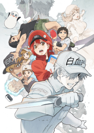 Hataraku Saibou!! | الخلايا في العمل | هاتاراكو سايبو | سيلز ات وورك سكند سيزن